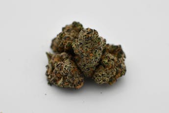 Garlic Ice Mintz FLower