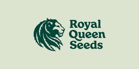 Royal Gorilla Feminized Seeds (3 seeds)