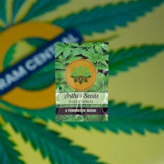 Anthos Seeds | Assorted | 10 Pack