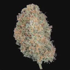 Fog Dog | 3.5g