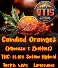Candied Oranges (Otis Gardens)