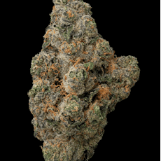 Black Maple #22 3.5G