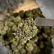 Cereal Milk by The Cannabis Collective/ Bulk