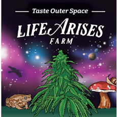 Life Arises - Early Oranges - Farm Cut B-Bud Flower - 1/2oz