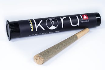 Koru - Plasma Lazer Horse - 1g Preroll