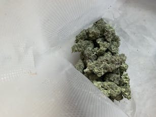 Devils Drip 14 Grams