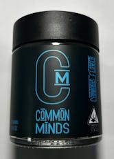 Common Minds | Grape Ape (I/S) | 3.5g Indoor Flower