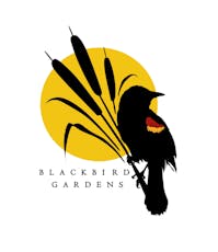 Blackbird Gardens | Galactic Guava Flower 3.5g