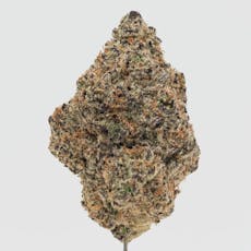 Sub Zero (Indoor)