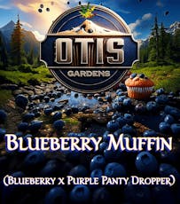 Blueberry Muffin (Otis Gardens)