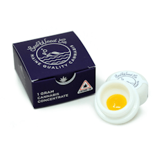 Chem Gem Live Badder