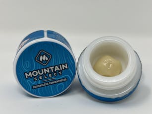 Black Maple (H) - 1g Cold Cured Live Rosin - Mountain Select