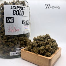 Acapulco Gold (Seeded)(S)