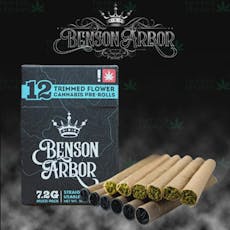 Benson Arbor - The King's Sour/Jet Fighter - .6g 12pk
