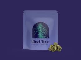 Kind Tree Skywalker II