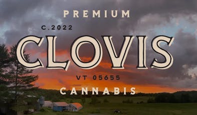 Clovis - Trop Mango - Flower - 1/8oz