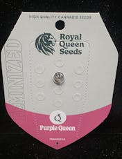 Feminized Seeds