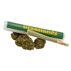 Blueberry Muffin | 1g Preroll | Hybrid