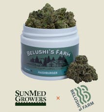 Belushi's Farm Hashburger