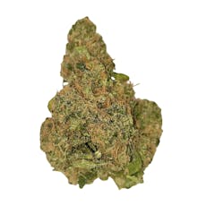 Black Maple (H- Silver)