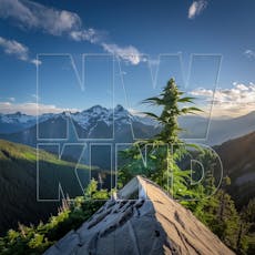 Southern Sunset 1g Live Resin Cartridge (NW Kind)