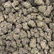 B Bud Ice Cream Cake SEEDS (Hotbox Farms)