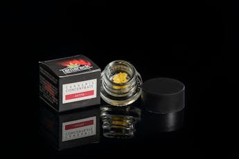 .5G LIVE SUGAR - Cuban Black Haze