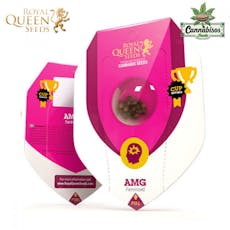 AMG Feminized Seed 3 Pack - Regular