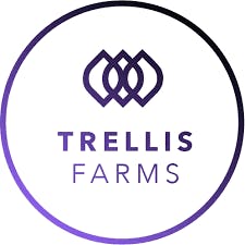 Dubba Berry - 1g Shatter (Trellis Farms)