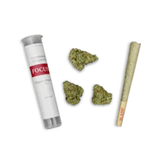 Purple Haze - 1g Preroll