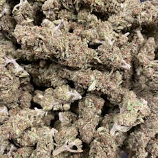 Spiked Pineapple (Gud Gardens)