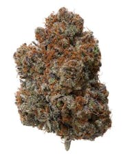 Flower - Hella Jelly Roll x Orange Creamsicle (H)