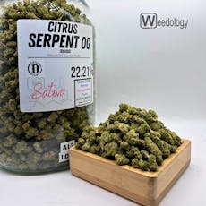 Citrus Serpent (BBuds) (S)