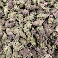 B Bud Tropical Cherry (Milmar)