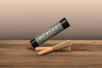 Hurley | Black Runtz | Preroll 2 pk |1g
