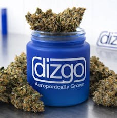 Eighth Ounce Jar Dried Flower-IX | Dizgo Collective | Orion | 3.5g
