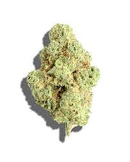 Flower - Lime Haze (S)