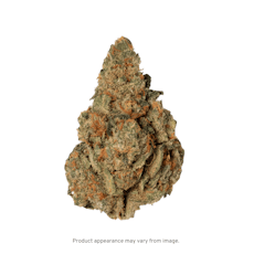 Deli Flower Gold - (APSC) Apricot Scone