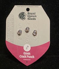 Feminized Seeds - Green Crack Punch 3 Seed FEM