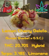 Lemon Cherry Gelato (Oregon Blooms)