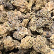 Gastro Mints (Hotbox Farms)