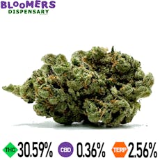 XJ-13 | 3.5G