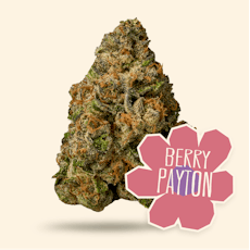 Berry Payton- Preroll- .5g