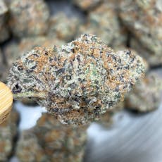 Colorado Nightshifter