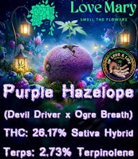 Purple Hazelope (Love Mary)
