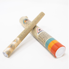 Tropical Punch Pre Roll - Buddies