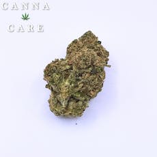 Apricot Scone Prime Farms Sativa Hybrid