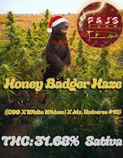 Honey Badger Haze (F & J's Farm)