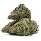 Flower - Heavy Duty Fruity (I)