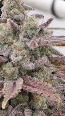 IT Cannabis | Mac & Cheese | 14g